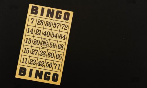 Site-uri de bingo online